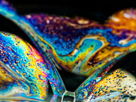 Abstracts